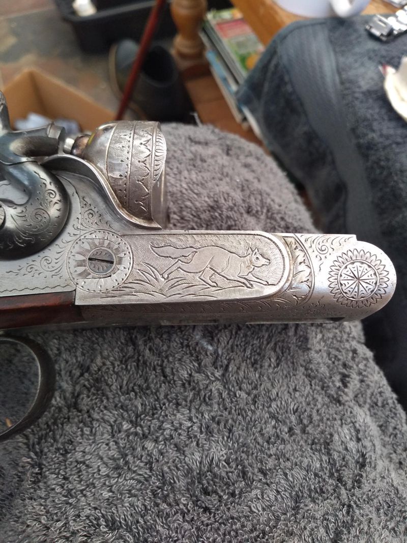 Italian Hammer Gun sxs